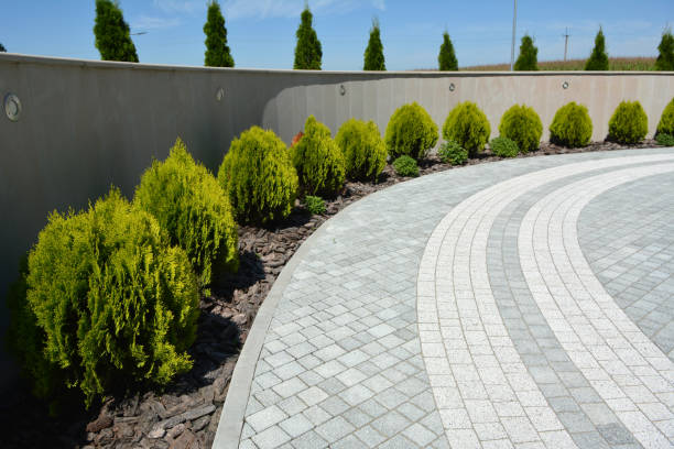 Best Decorative Driveway Pavers  in Pinehurst, NC